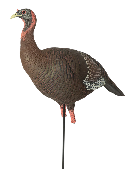 Turkey decoy on a stand with a transparent background