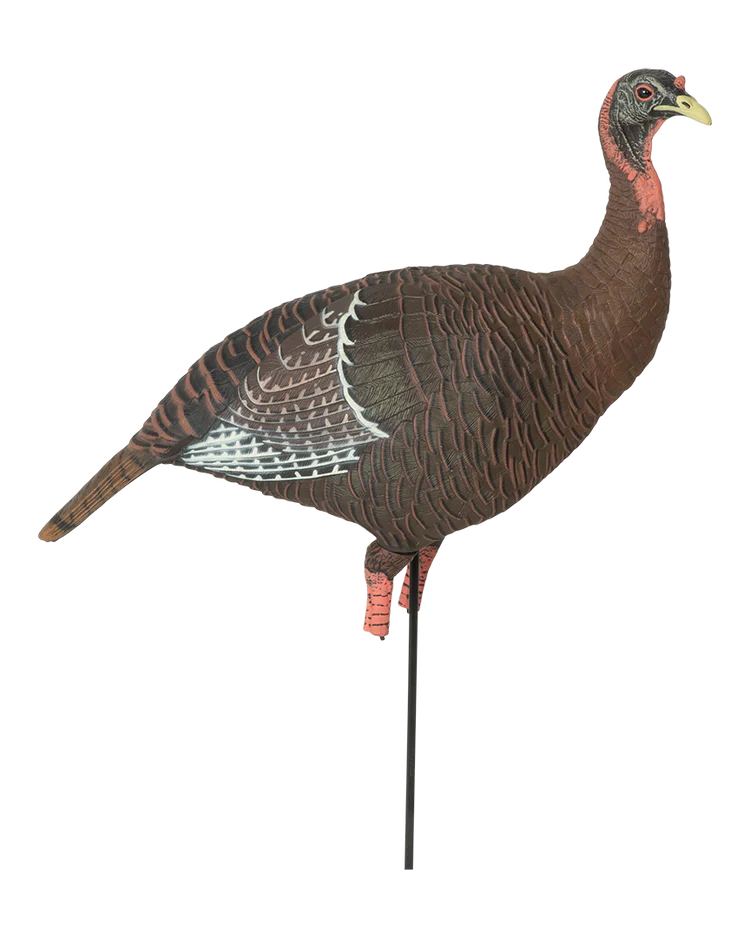 Load image into Gallery viewer, Turkey decoy on a stand with a transparent background
