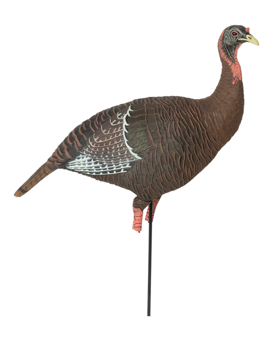 Turkey decoy on a stand with a transparent background