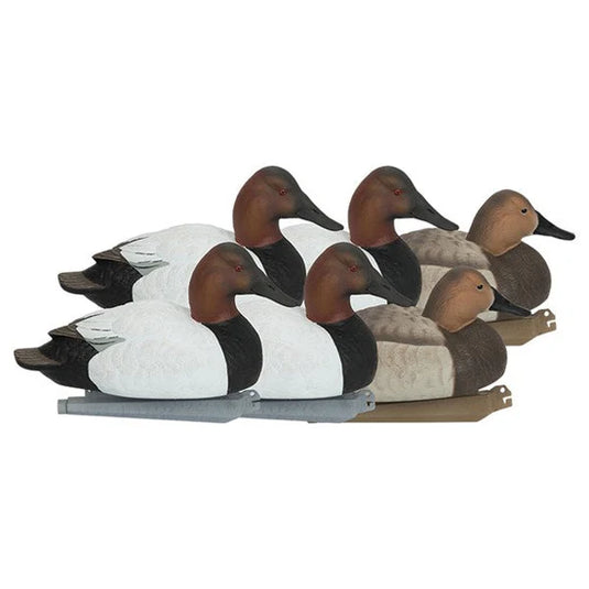Set of six canvasback decoys on a white background