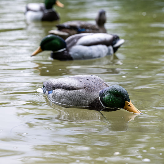 Avian-X Tip Up Mallard Feeder