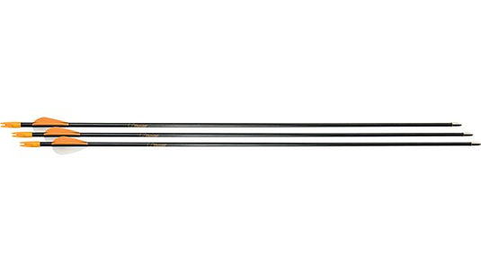 Bear Archery Youth Safetyglass Arrows 28" - 3pk