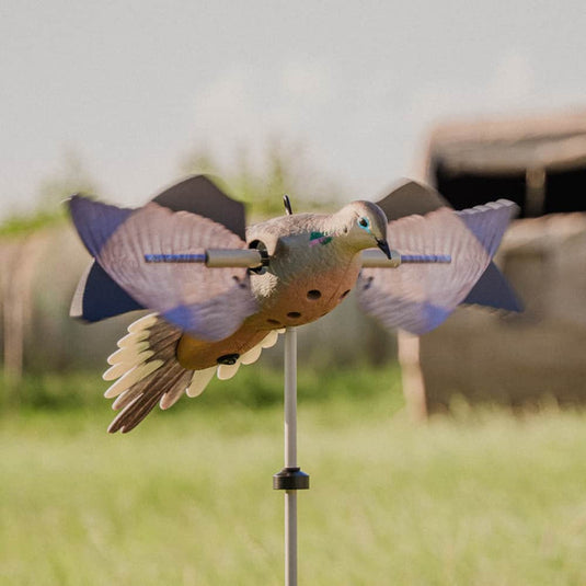 Avian X Powerflight Dove - Spinning Wing Decoy