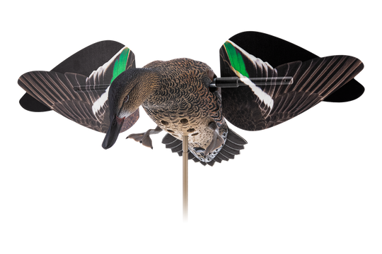 Avian X Powerflight Hen Green-Winged Teal