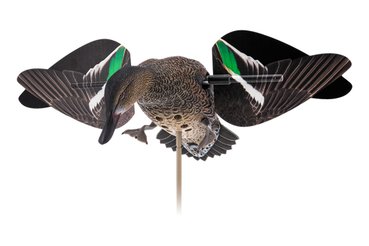 Avian X Powerflight Hen Green-Winged Teal