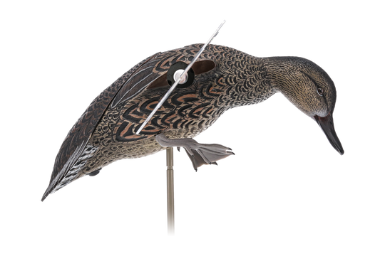 Avian X Powerflight Hen Green-Winged Teal