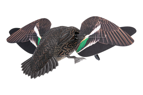 Avian X Powerflight Hen Green-Winged Teal