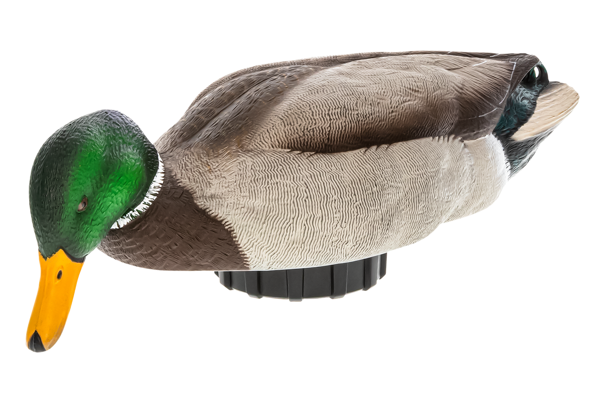 Avian X Power Shaker Mallard Drake Surface Feeder - Whistlepig Outdoors