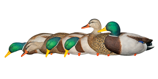 Avian X AXP Full Body Mallards Fusion Pack