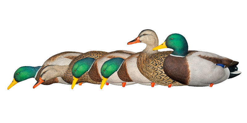 Load image into Gallery viewer, Avian X AXP Full Body Mallards Fusion Pack
