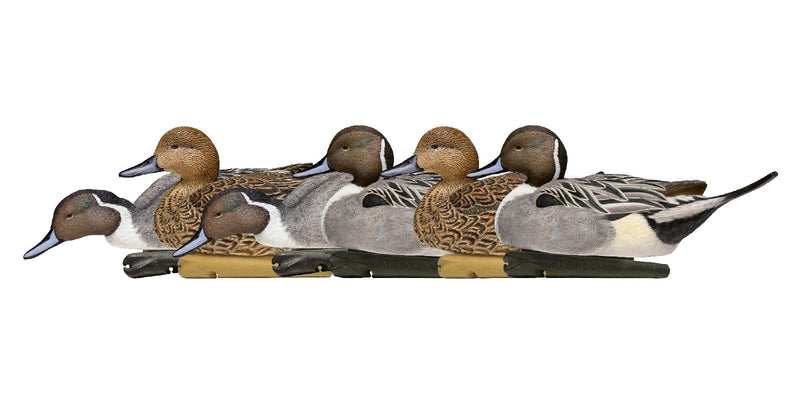 Load image into Gallery viewer, Set of six duck decoys on a white background

