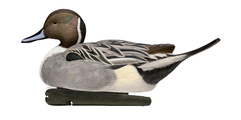 Load image into Gallery viewer, Pintail duck decoy
