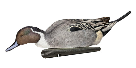Pintail duck decoy