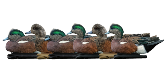 6 wigeon duck decoys on a transparent background