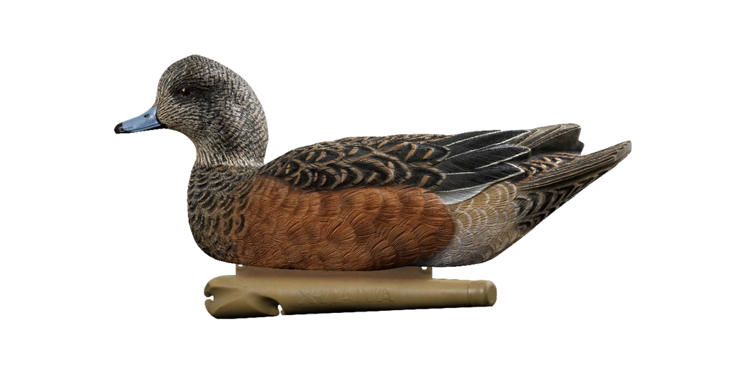 Avian X Topflight Wigeon