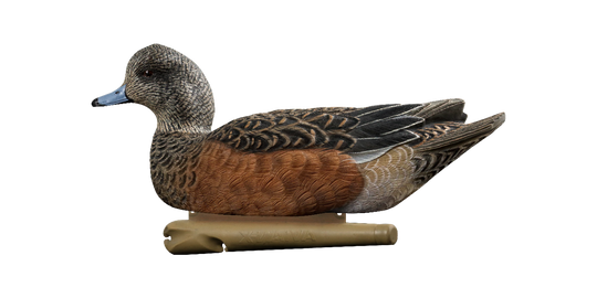 Avian X Topflight Wigeon