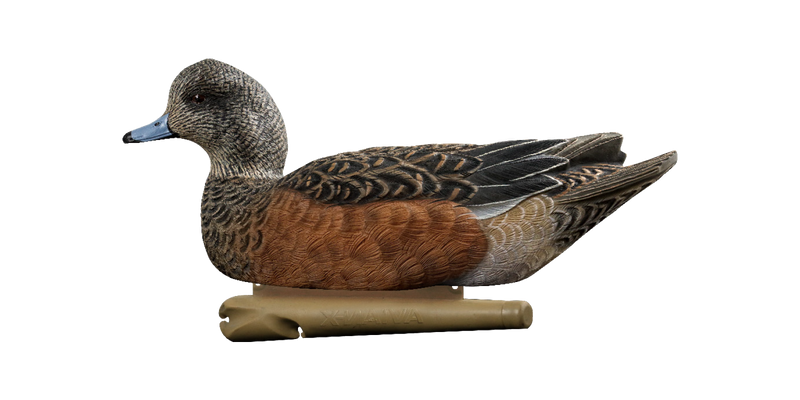 Load image into Gallery viewer, Wigeon duck decoy on a transparent background
