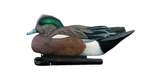 Avian X Topflight Wigeon