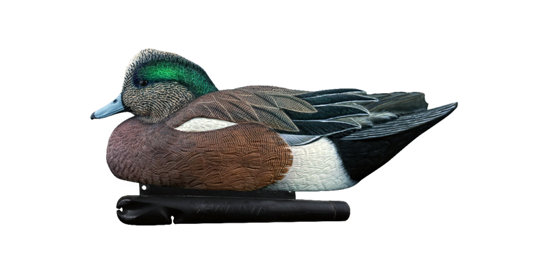 Load image into Gallery viewer, Wigeon duck decoy on a transparent background
