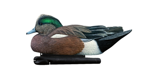 Wigeon duck decoy on a transparent background