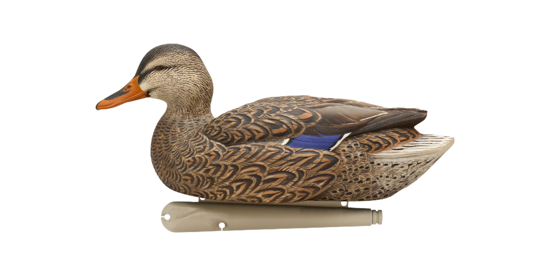 Avian X Topflight Fusion Mallards