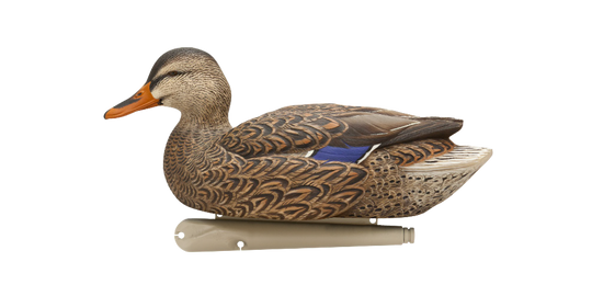 Avian X Topflight Fusion Mallards