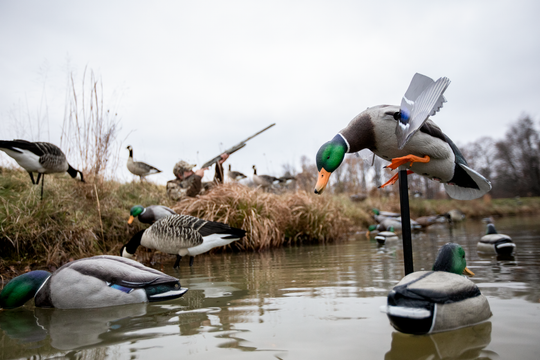 Avian X Powerflight Smart Motion Mallard Drake