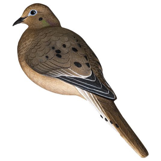 Avian X AXP Full Body Dove Decoy 6pk