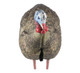 Load image into Gallery viewer, Turkey decoy against a white background
