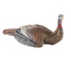 Decoy turkey against a white backdrop