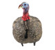 Load image into Gallery viewer, Turkey decoy against a white backdrop
