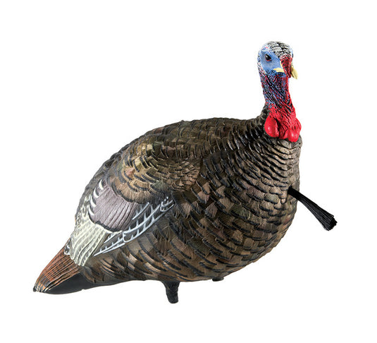 Turkey decoy against a white backdrop