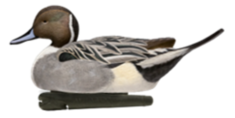 Load image into Gallery viewer, Avian X Power Swimmer
