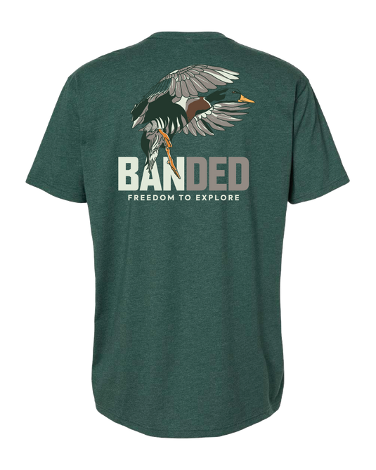 Banded Overlay S/S Tee