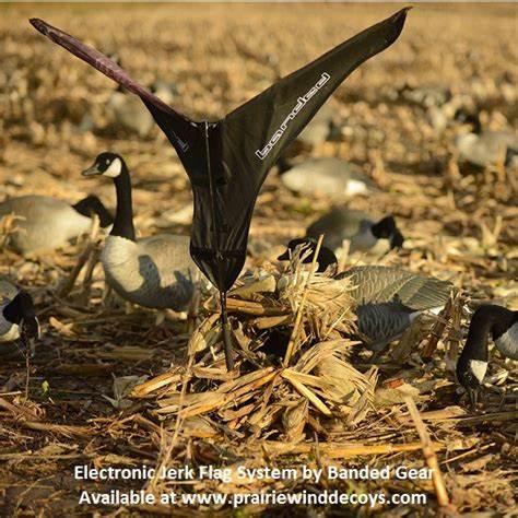 Load image into Gallery viewer, Banded Electronic Jerk Flag System
