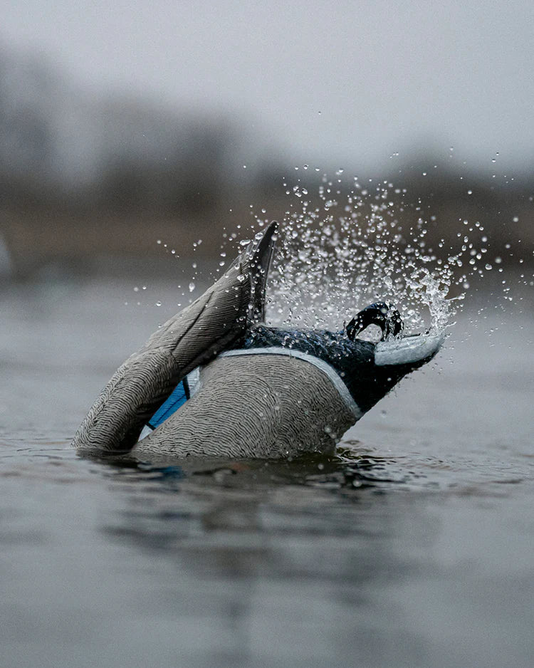 Load image into Gallery viewer, A realistic duck decoy, designed to mimic a mallard duck splashing in water with a blurred background.
