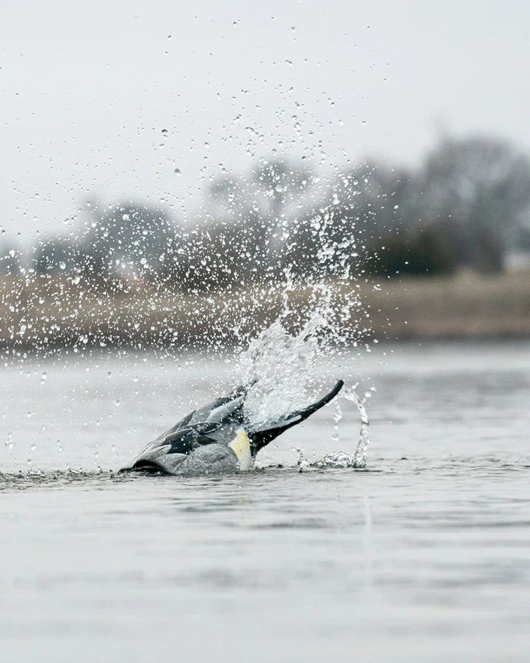 GHG Finisher Spitter Pintail Drake