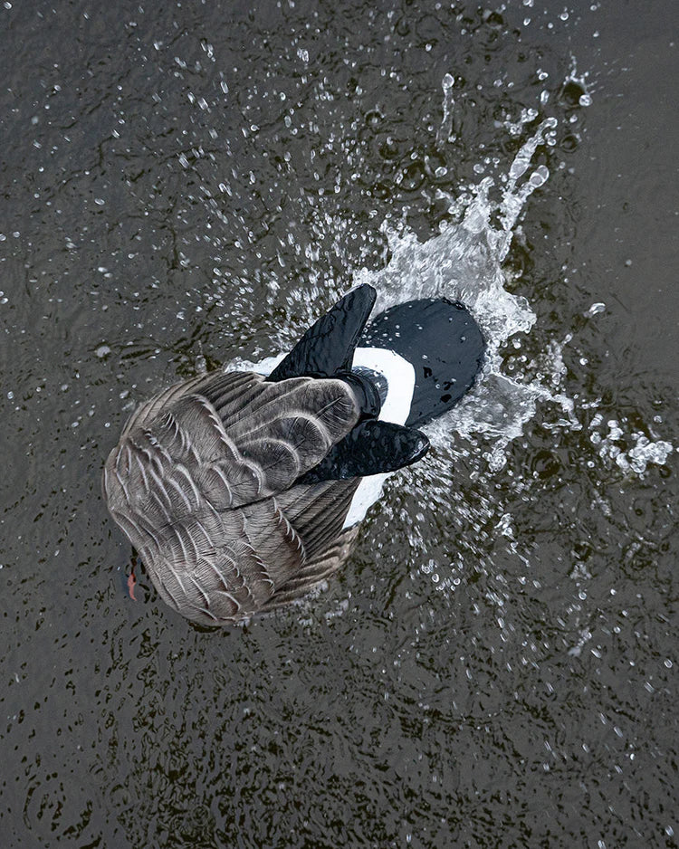 Load image into Gallery viewer, A realistic Canada Goose decoy with a motion spitter designed to attract waterfowl, shown in mid-air with splashing water around.
