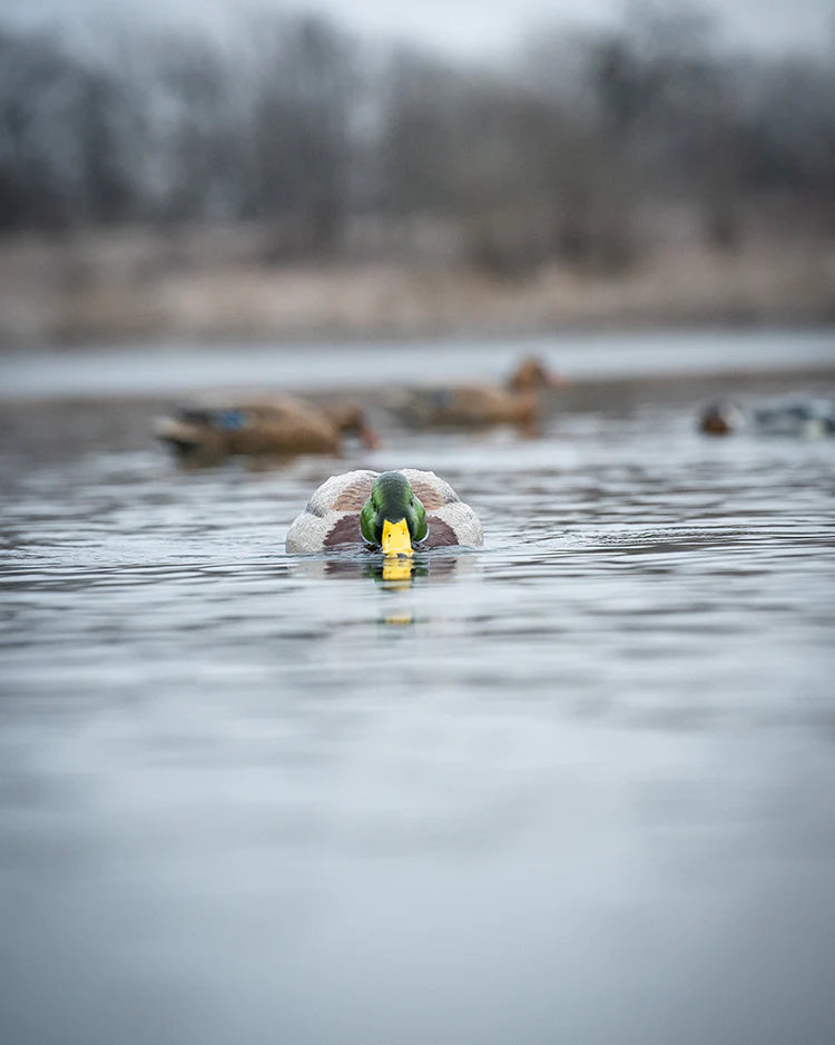 Load image into Gallery viewer, A GHG Finisher Swimmer Mallard decoy used for hunting, featuring a realistic duck design with a yellow beak, green head, and brown body.
