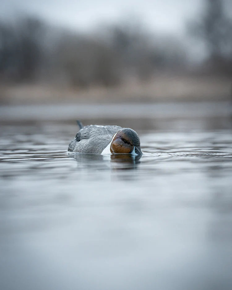 Load image into Gallery viewer, GHG Finisher Swimmer Pintail Drake
