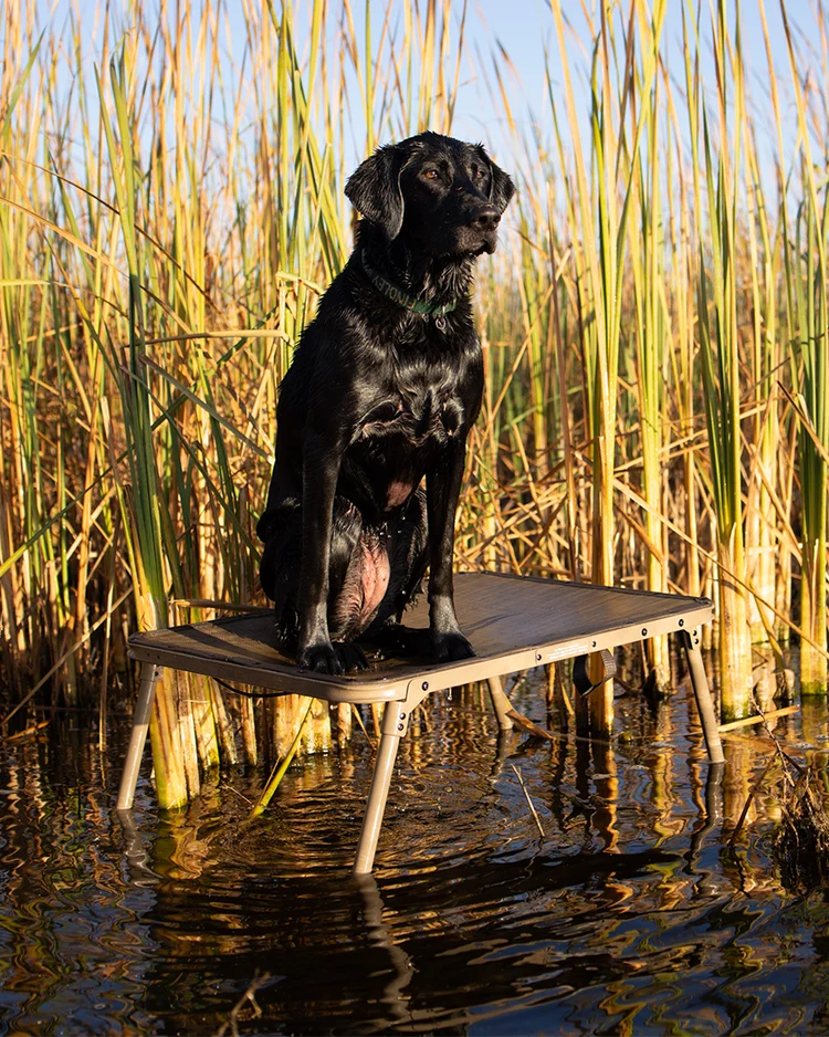 Load image into Gallery viewer, ASD Quick Stand - Marsh Brown
