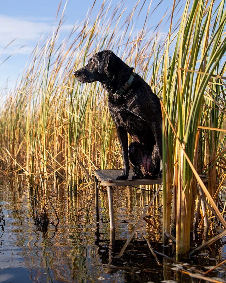 Load image into Gallery viewer, ASD Quick Stand - Marsh Brown
