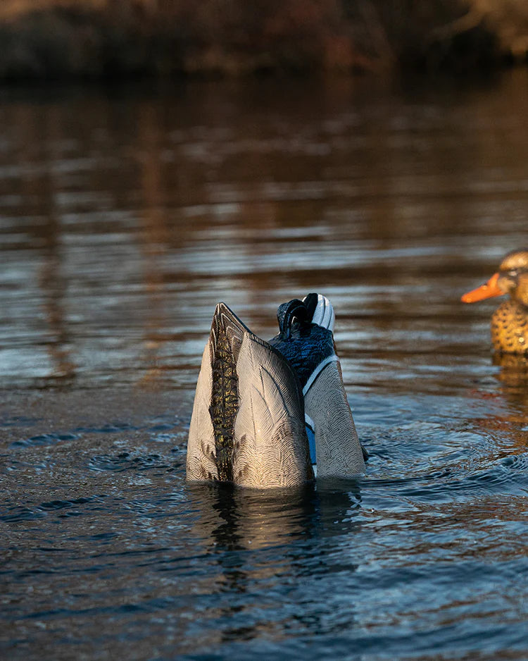 Load image into Gallery viewer, Duck decoy diving into water with another duck in the background
