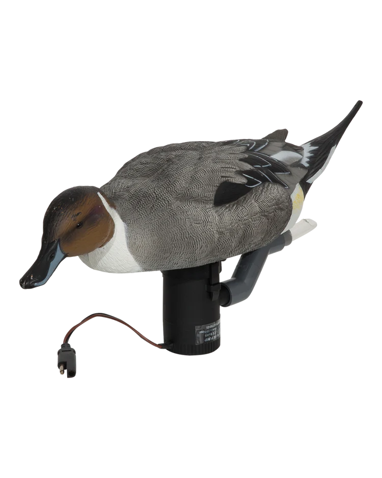 Load image into Gallery viewer, GHG Finisher Swimmer Pintail Drake
