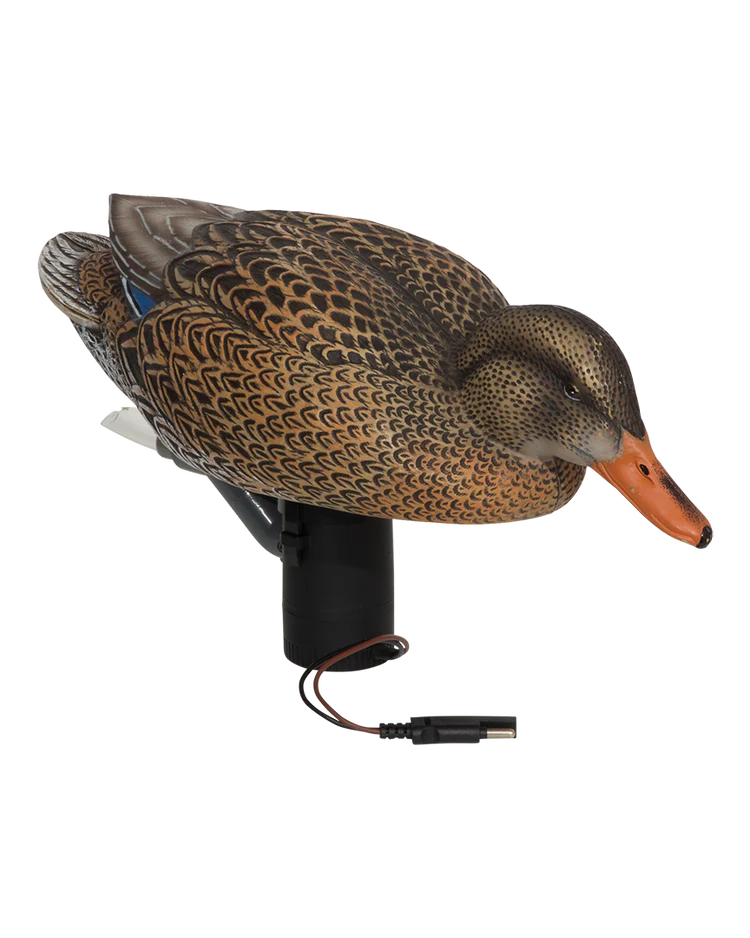 Load image into Gallery viewer, Mallard hen decoy with motor on a white background
