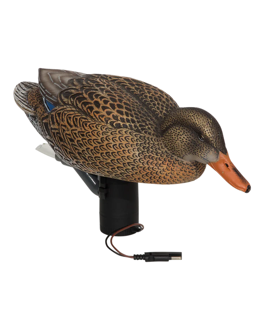 Mallard hen decoy with motor on a white background