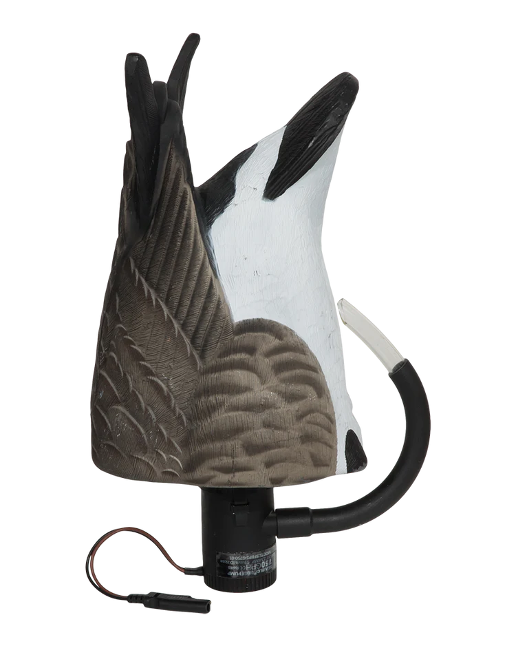 Load image into Gallery viewer, Decoy of a bird with a black cord on a white background
