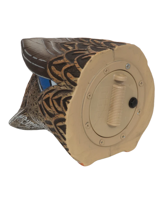 Dipping duck decoy