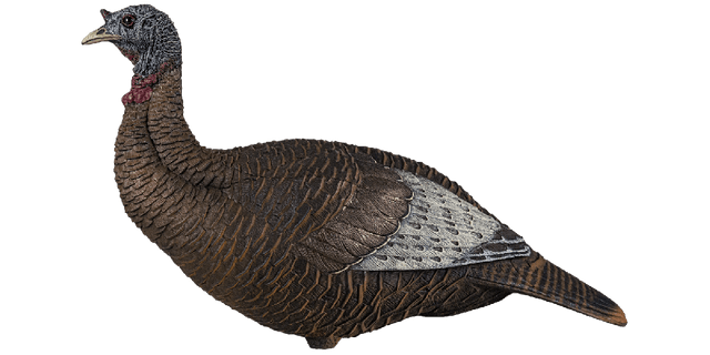 Load image into Gallery viewer, Realistic turkey decoy on a white background
