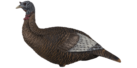 Realistic turkey decoy on a white background